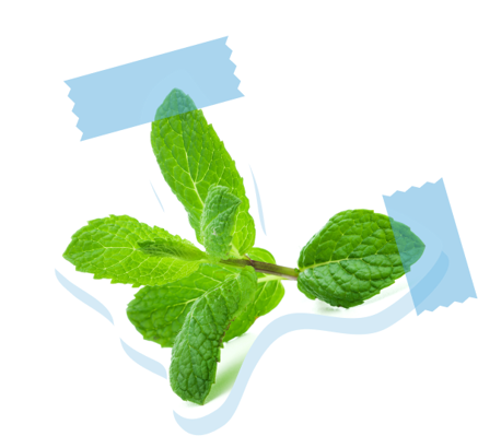 Mint with Tape Mint with Tape